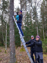 Veckans bild v 12 2025