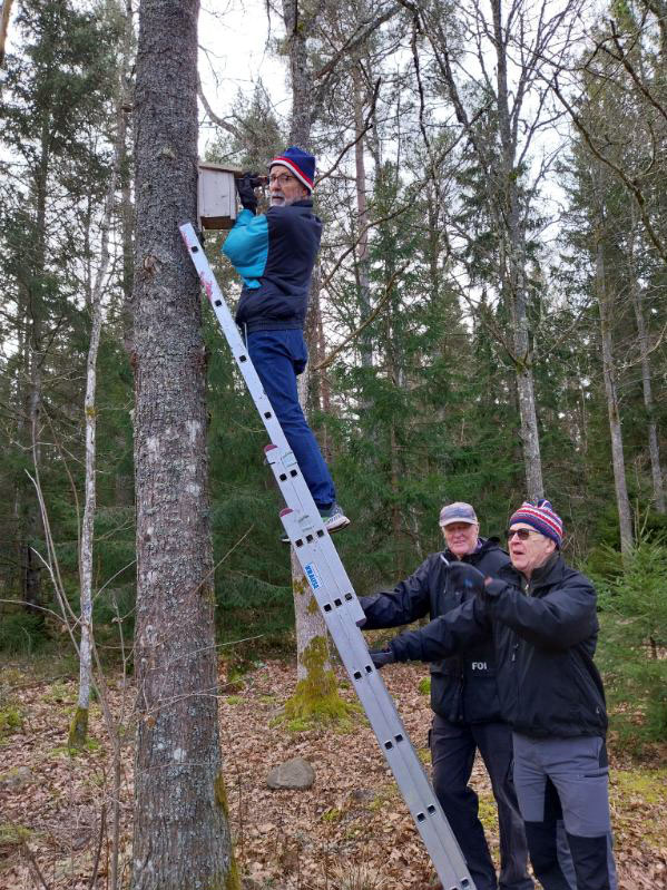 Veckans bild v 12 2025