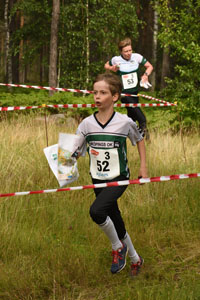 Veckans bild v 27 2025