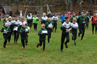 Veckans bild v 01 2026